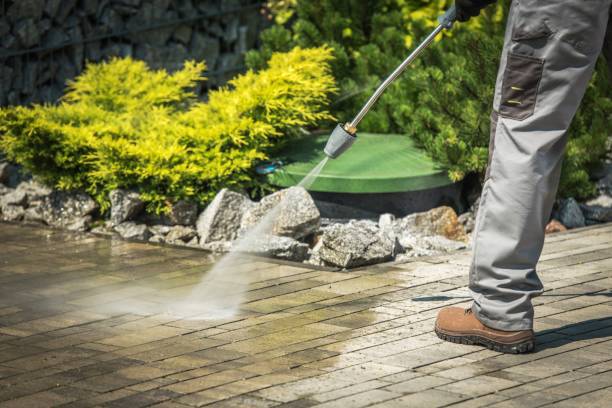 Best Sidewalk and Walkway Cleaning  in Clever, MO