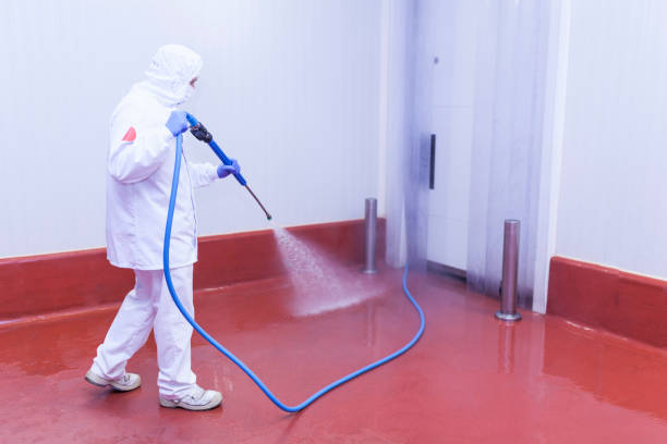 Best Sign and Awning Cleaning  in Clever, MO