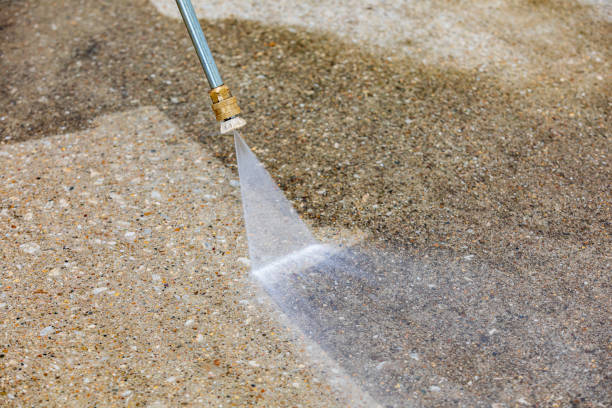 Best Gutter Cleaning  in Clever, MO